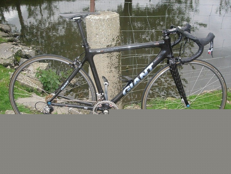 giant tcr