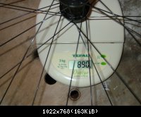 Bontrager Race X Lite Disc 2007 : 890gr