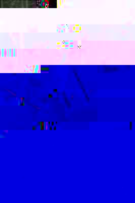 Chti bike 2006 2.jpg