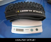 Schwalbe Little albert 2006 : 530gr