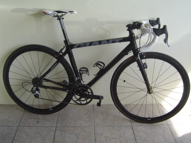 Giant TCR Advanced (nini33)